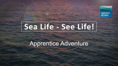 Careers at Sea: Apprentice Adventure